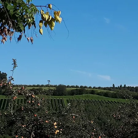 Vakantiehuis Im Biodorf