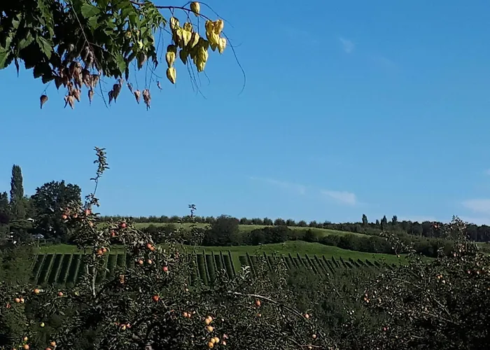 Сasa de vacaciones Im Biodorf